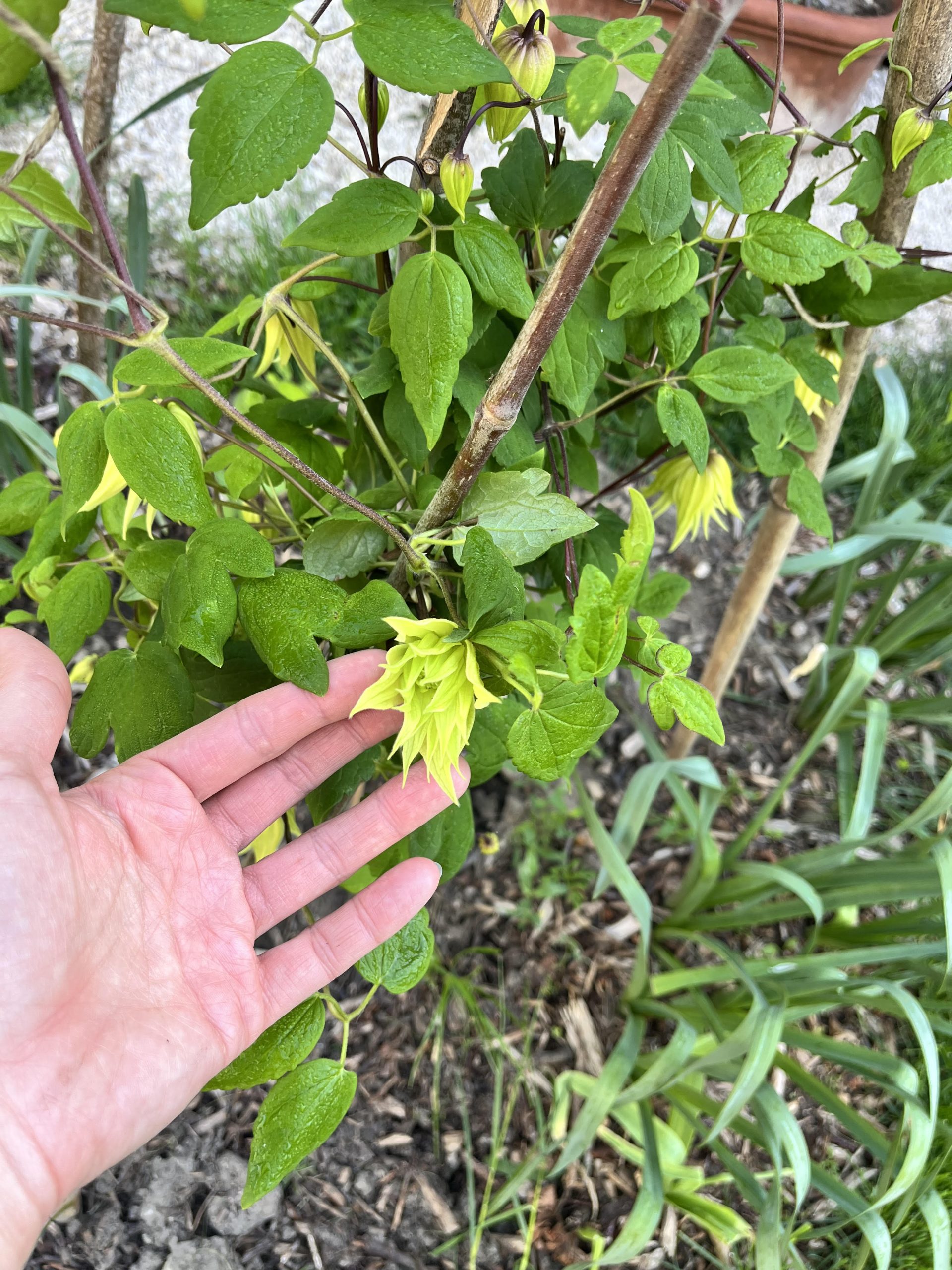 Változás és Rezgésváltás 1. Figyelj, mert itt valami történni fog!
