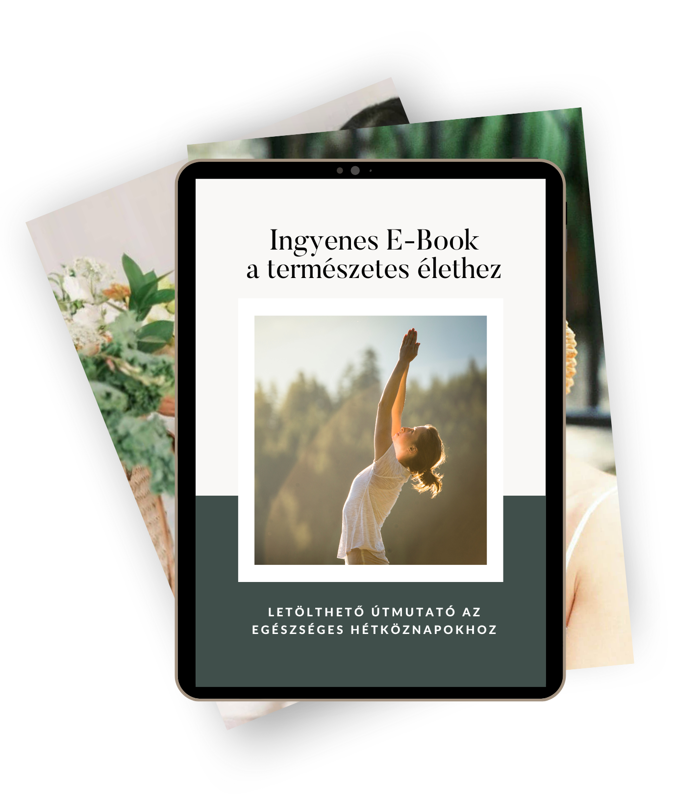 ingyenes e-book borító