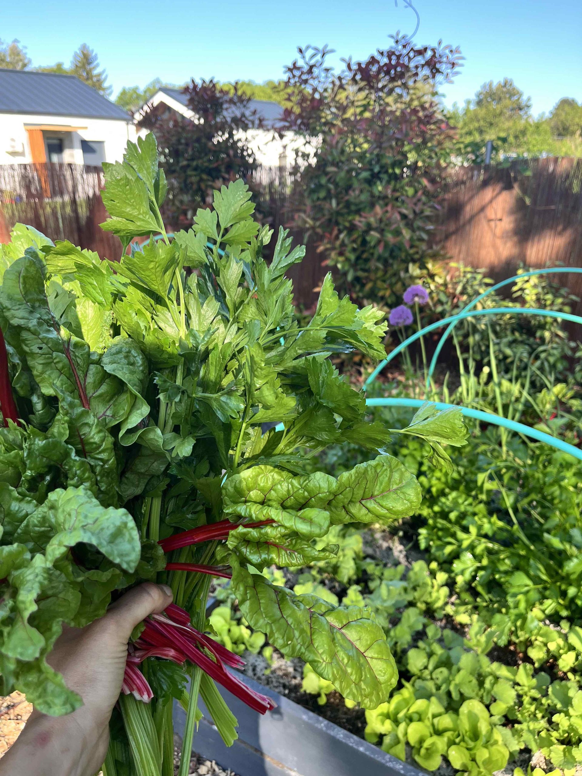 Miért fontos, hogy tudjuk, honnan kerül a minőségi étel az asztalunkra?