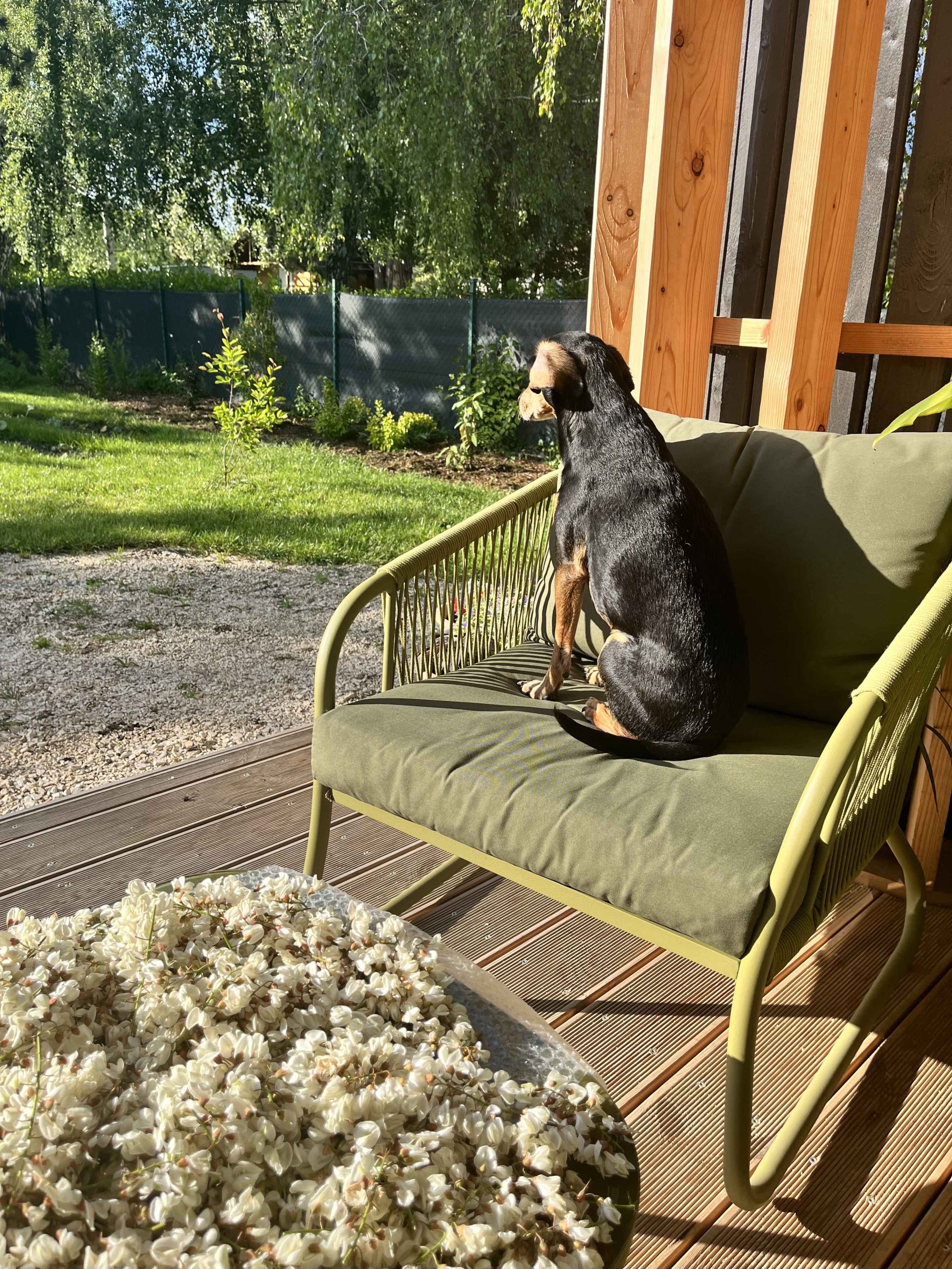 A kedvenc stresszkezelési és regenerálódási eszközeim